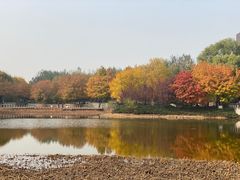 -大望京公园