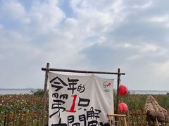 -七的湖·晚芳亭·阳澄湖农家菜·大闸蟹(莲花岛店)
