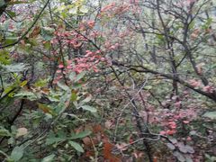 -星美国际影城(蓝湾店)