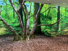 -极简口腔(总院)