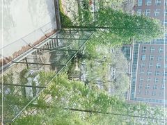 -漫城乔氏台球精酿啤酒吧