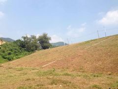 android_upload_pic-凤凰山国家森林公园