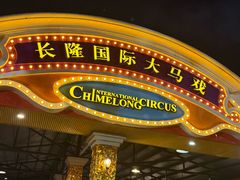 -广州长隆国际大马戏