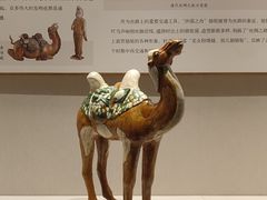 -深圳博物馆(古代艺术馆)