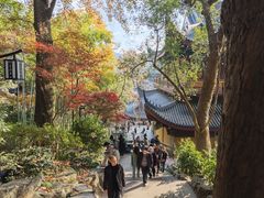 -灵顺寺