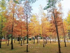 -晓港公园