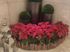 -武汉马哥孛罗酒店