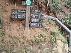 -西双版纳原始森林公园