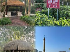 -千岛湖天屿景区