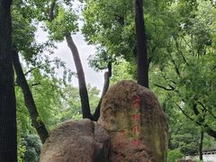 -上海方塔园