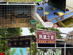 -溪悦渔庄(九龙湖店)