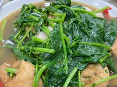 -正宗阳山牛杂(东城店)