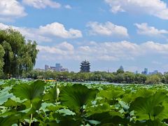 -济南大明湖景区