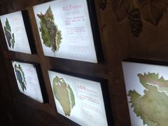 -青岛葡萄酒博物馆