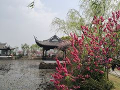 -无锡蠡湖国家湿地公园-蠡园