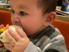 -帝企鹅自助餐厅•儿童岛•真企鹅(长隆企鹅酒店)