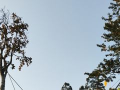 -白石龙音乐公园