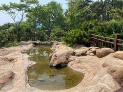 -老虎石海上公园