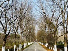 -凤凰沟景区