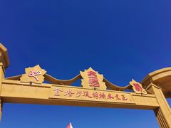 -金塔沙漠胡杨林景区