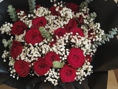 -攀枝花公园