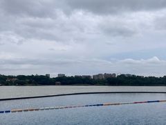 -东莞松山湖凯悦酒店