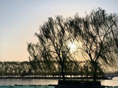 -大兴滨河森林公园