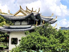 -江心屿景区