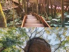 -天门沟九州驿站树上汤泉