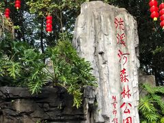 -广州市流溪河国家森林公园