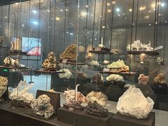 -烟台自然博物馆