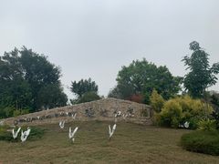 -琅岐红光湖公园