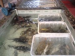 胖姐新村风味鱼村-胖姐渔村(中源大道店)