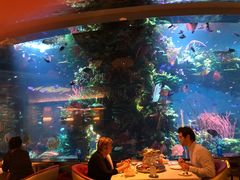 -迪拜帆船酒店海底餐厅