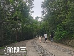 -紫金山山顶公园