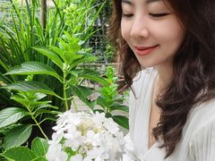-谷咖啡·鲜花绿植花园餐厅