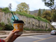 -塔川景区