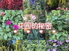 -黑龙江省森林植物园