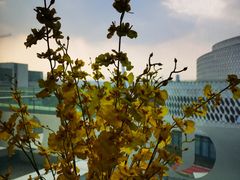 -北京园博大酒店