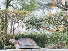 -汤山一号温泉度假区