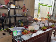 -马陆小张葡萄园农家乐