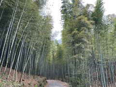 -天目湖御水温泉·度假酒店