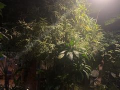 -金稼园·金平湖农家菜