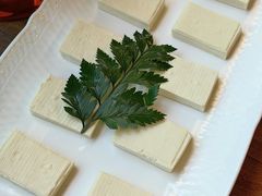 包浆豆腐-花菇朵·云山雀 ll 野生菌锅·野果酸汤·精品滇菜(万柳店)