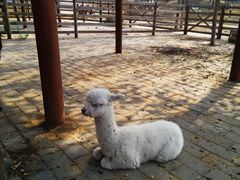 -北京雁栖湖国际会展中心