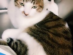 -宠颐生宠物医院·骨外科·犬猫全科诊疗中心(池州店)