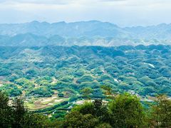 -蜀南竹海景区