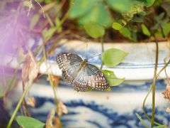 -丽江泸沽湖景区