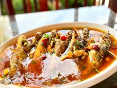 -呼吸森林·生态农庄农家乐私房菜