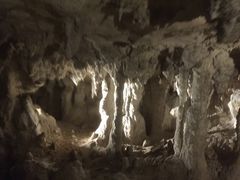 -怀托摩萤火虫洞